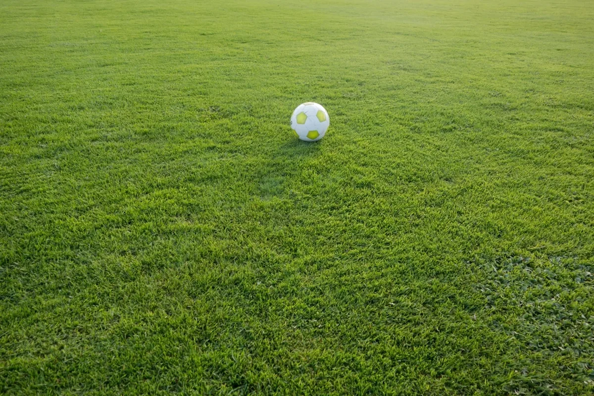 잔디 위에 놓인 축구공